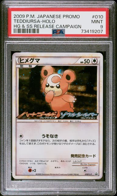 Teddiursa-Holo