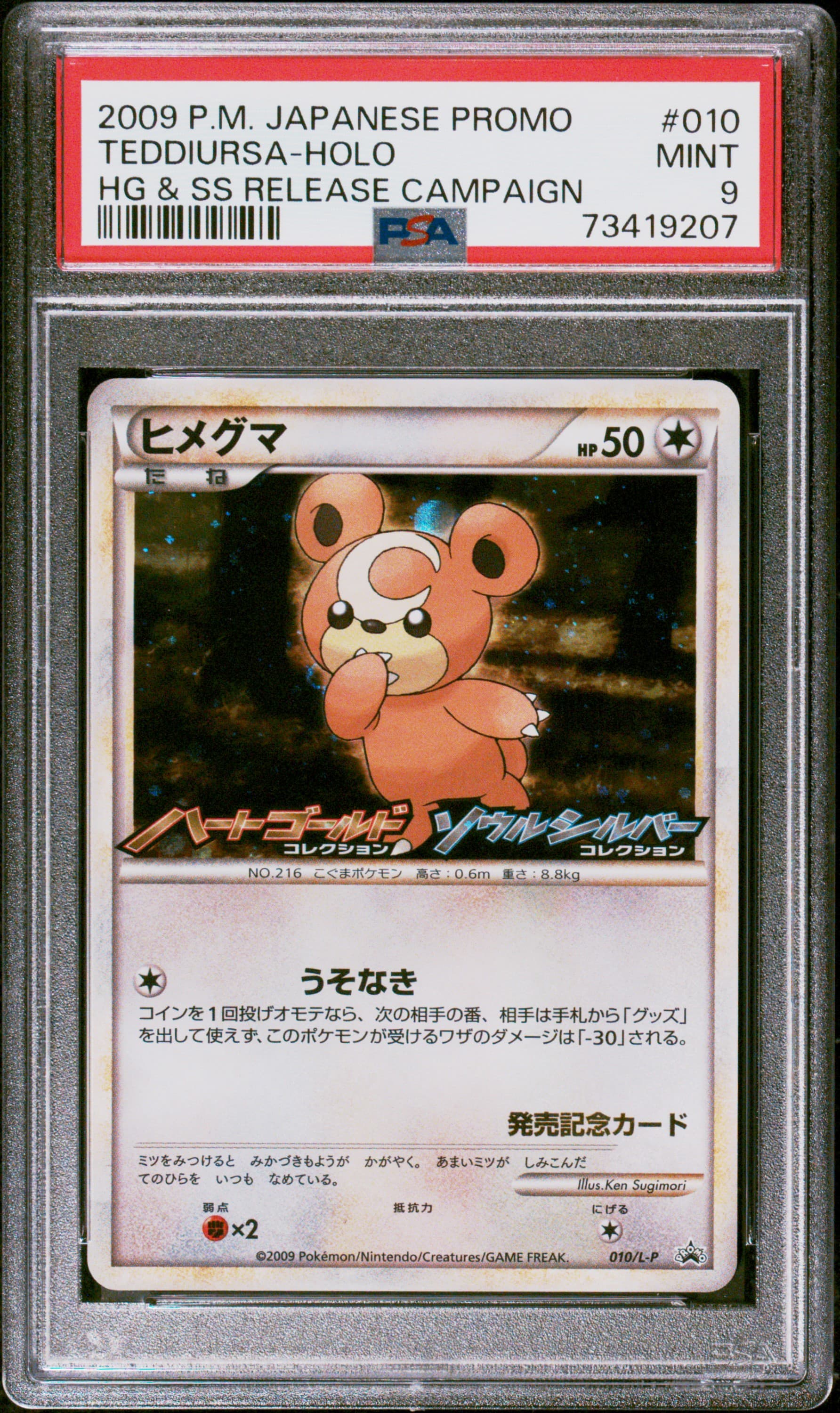 Teddiursa-Holo