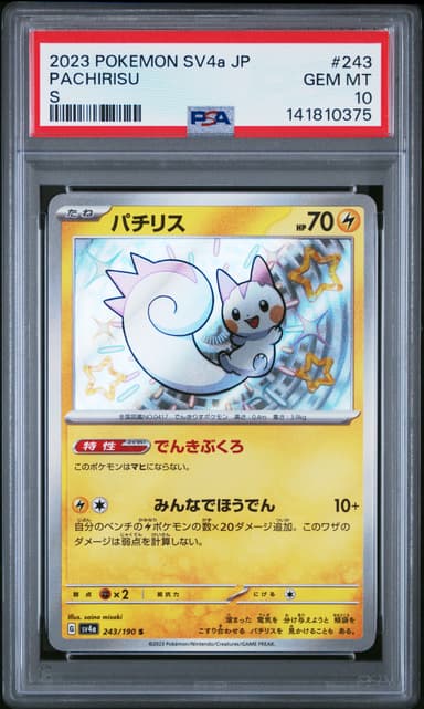 Pachirisu