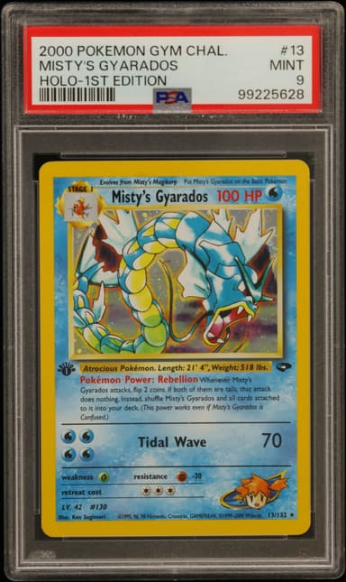 Misty's Gyarados