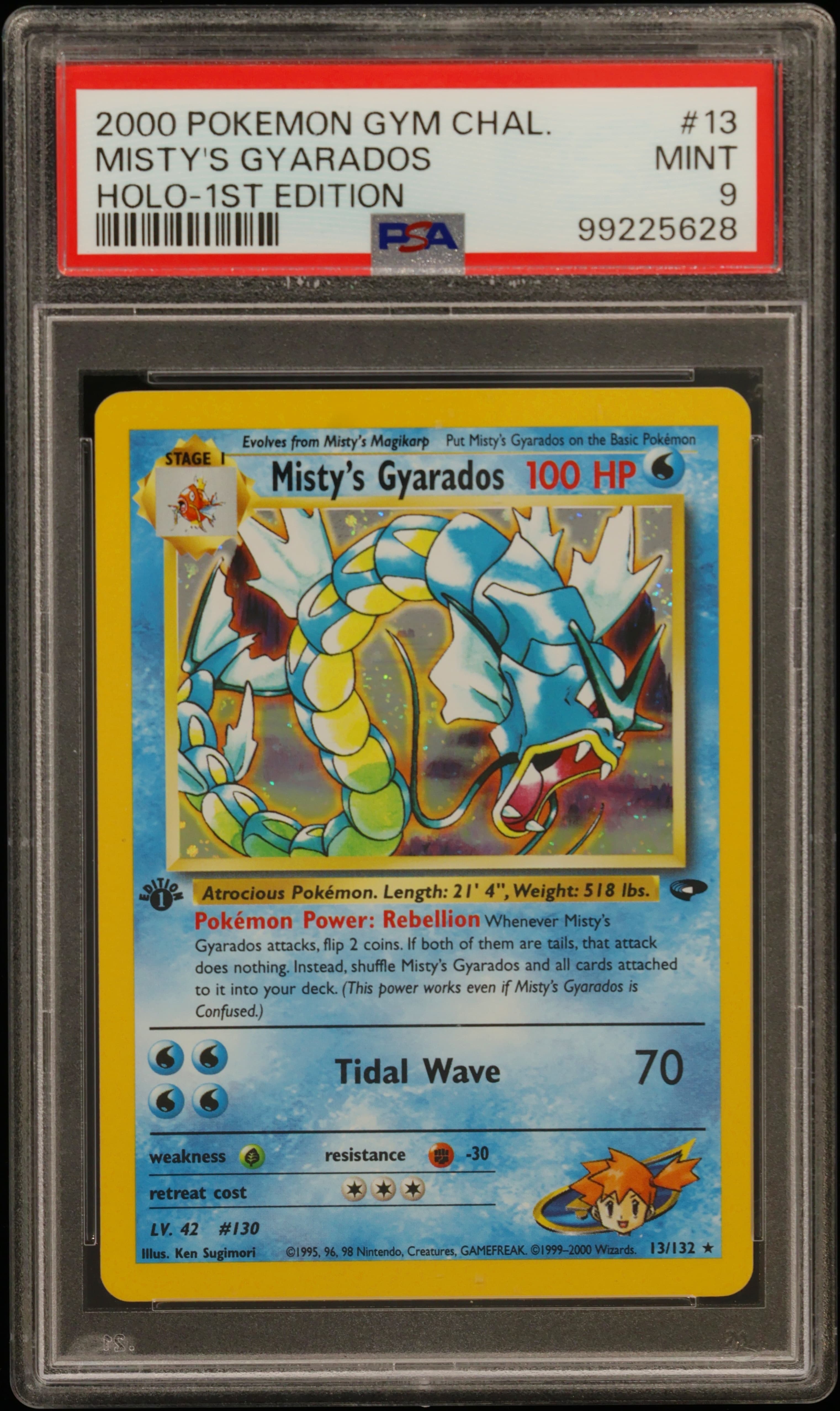 Misty's Gyarados