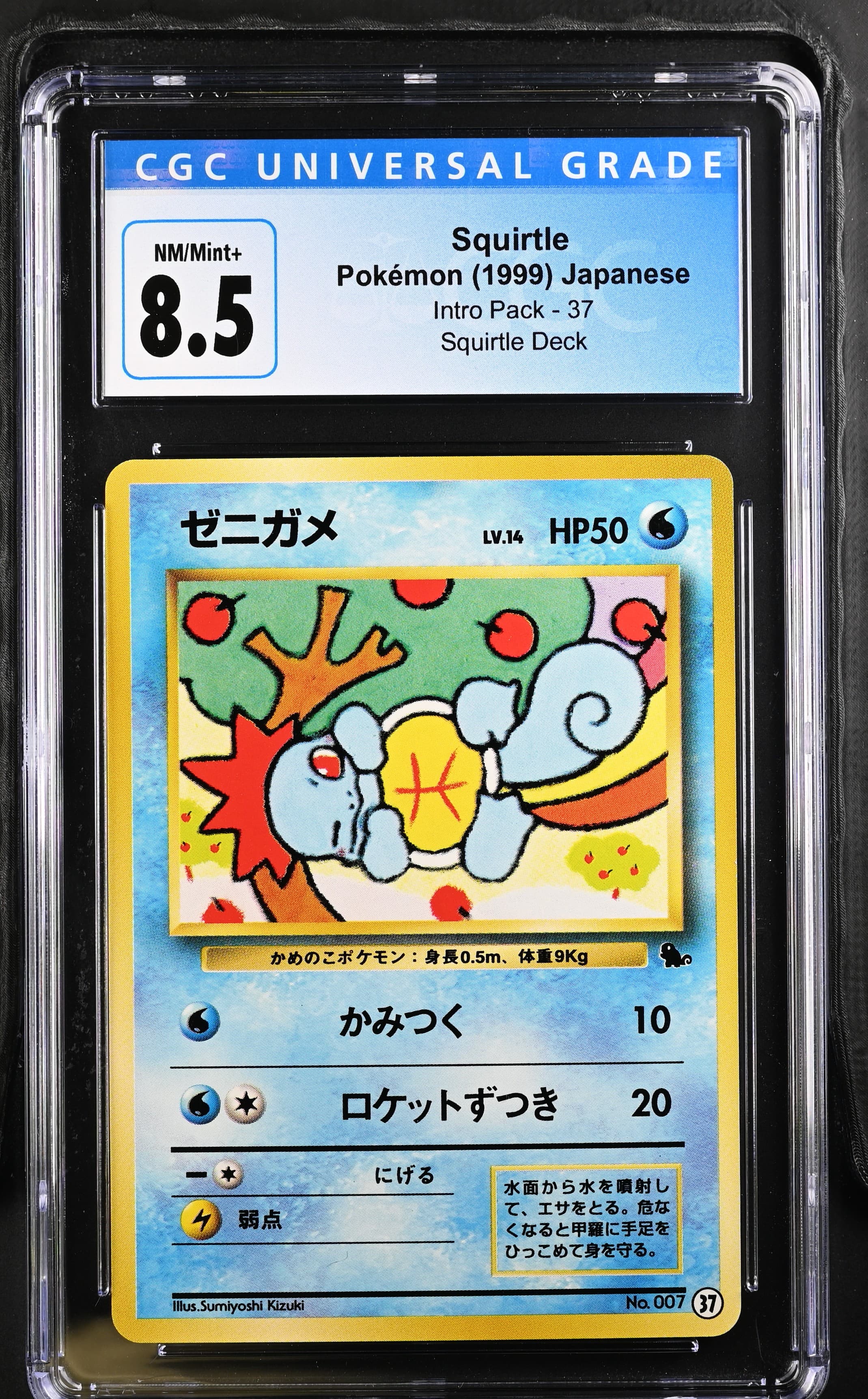 Squirtle