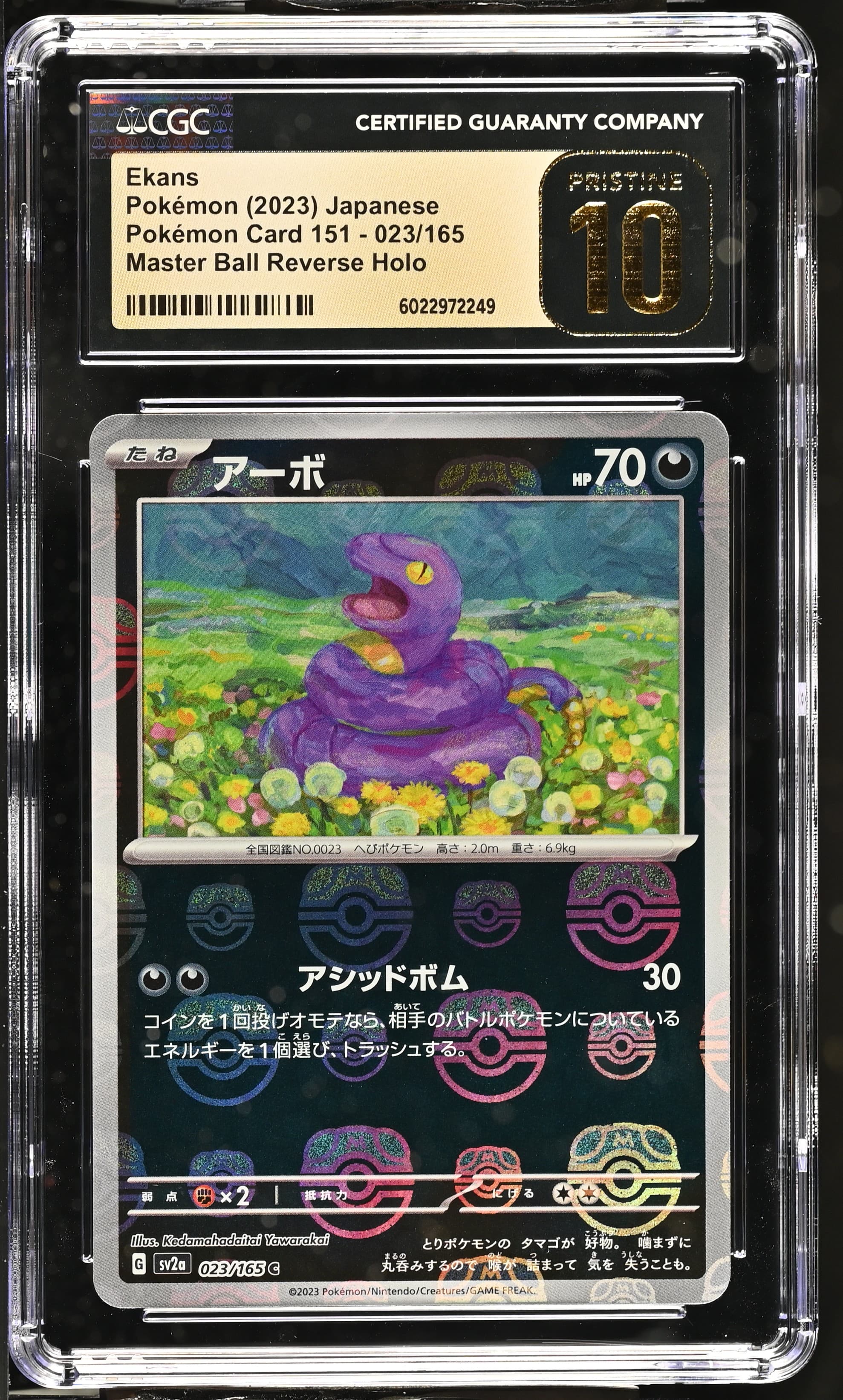 Ekans Master Ball Reverse Holo