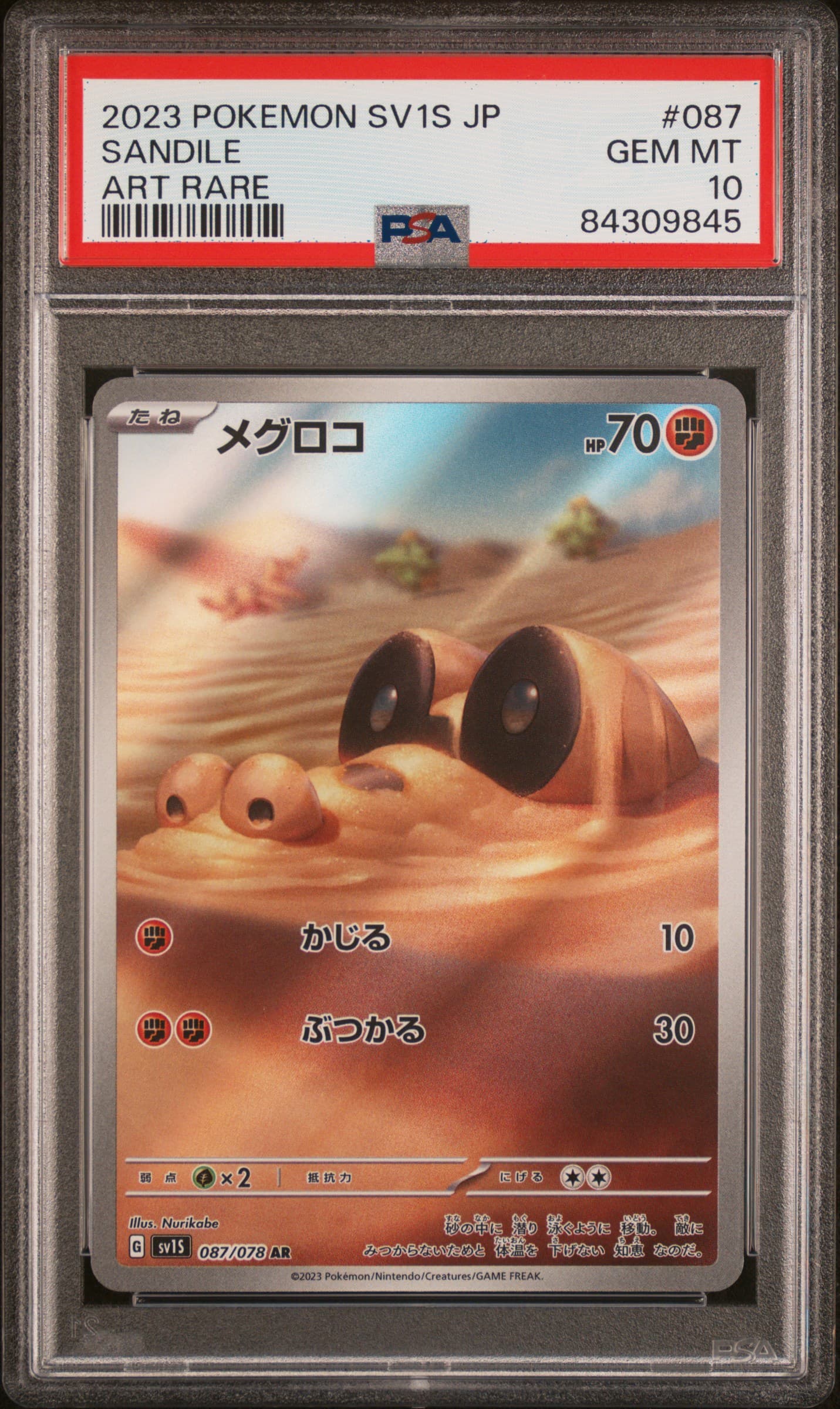 Sandile