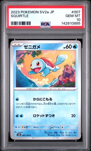 Squirtle