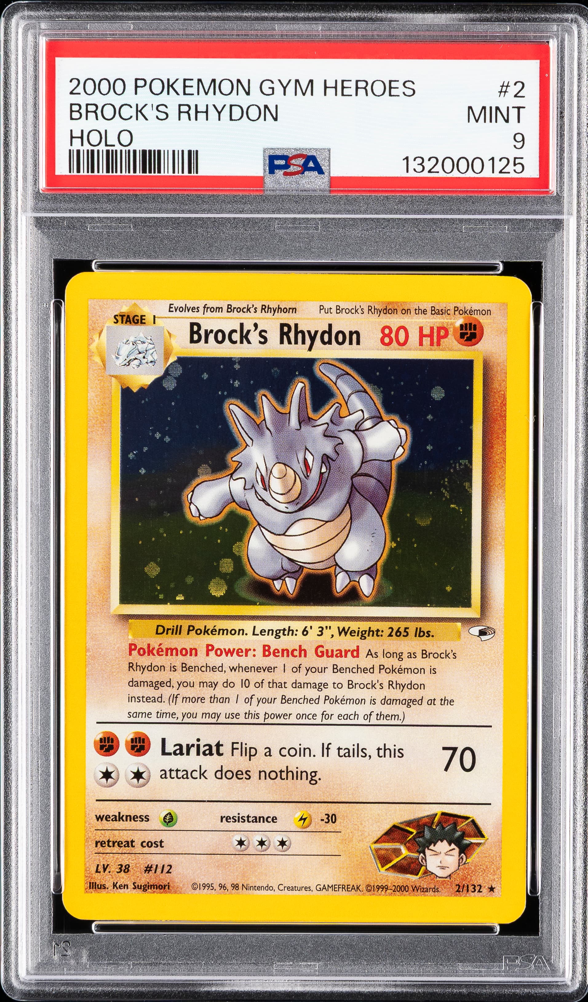 Brock's Rhydon