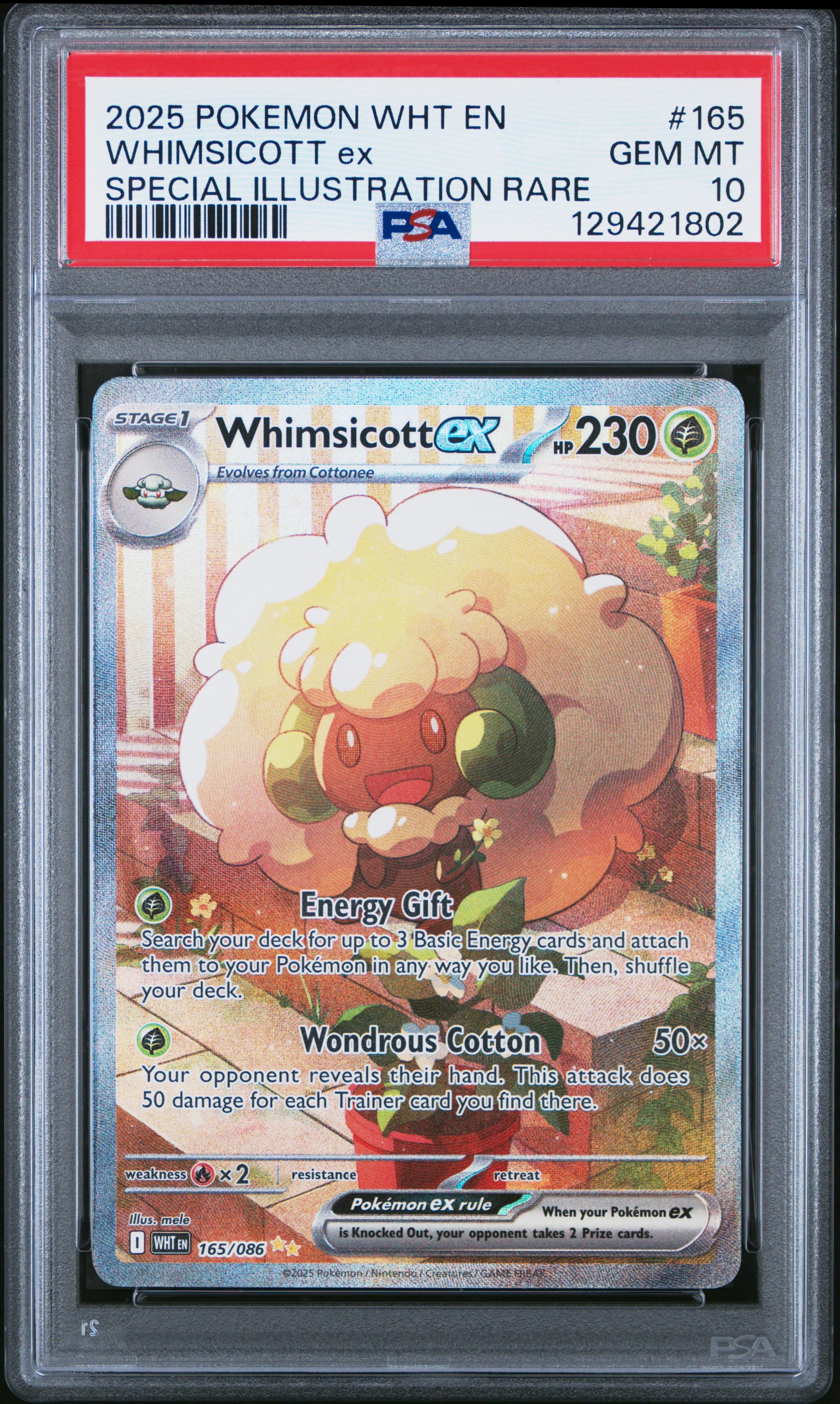 Whimsicott EX
