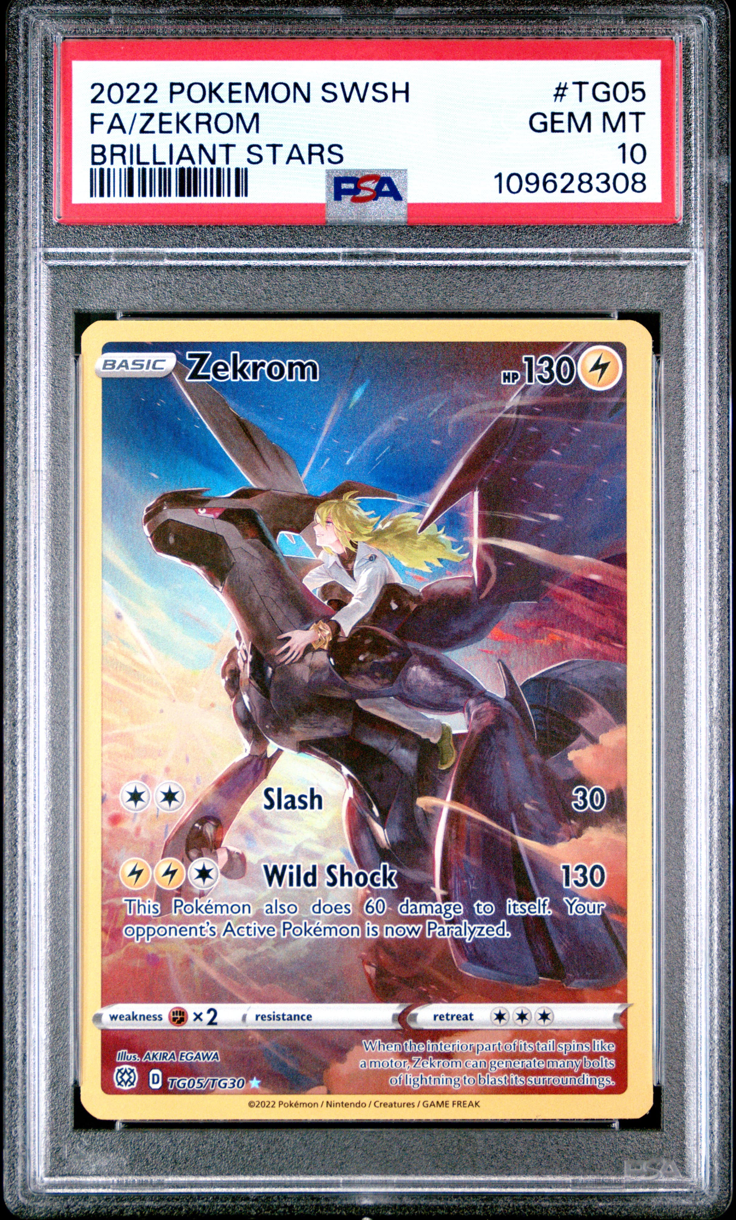 Full Art/Zekrom