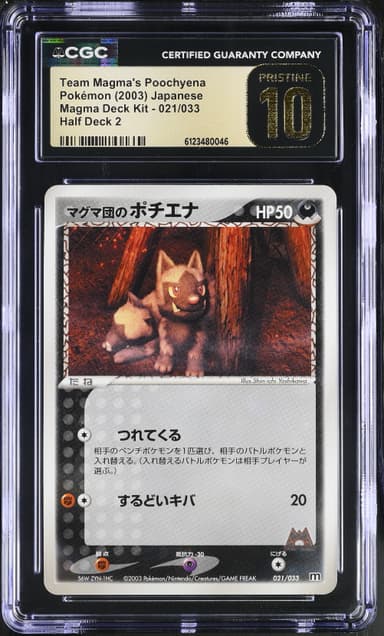 Team Magma's Poochyena