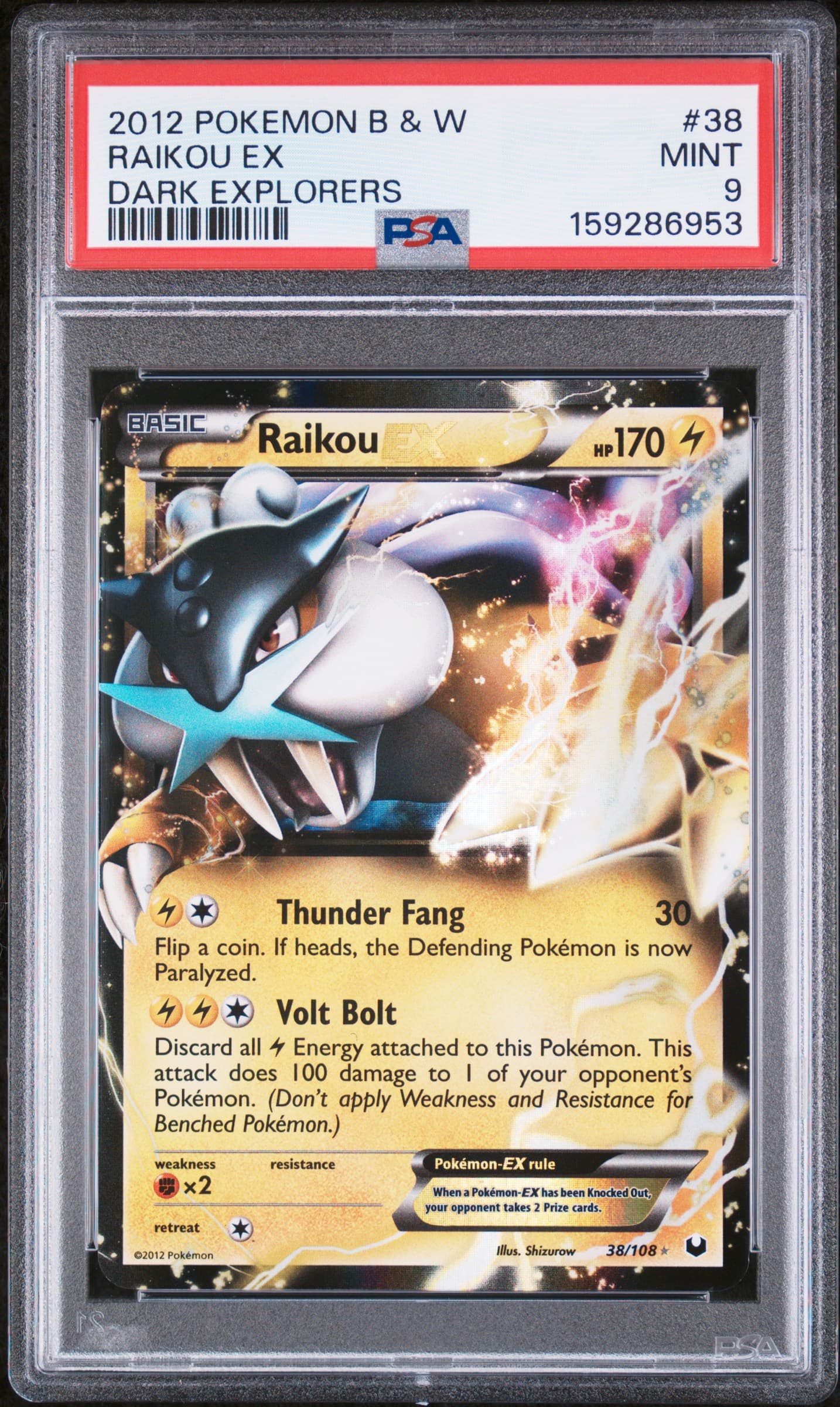 Raikou EX