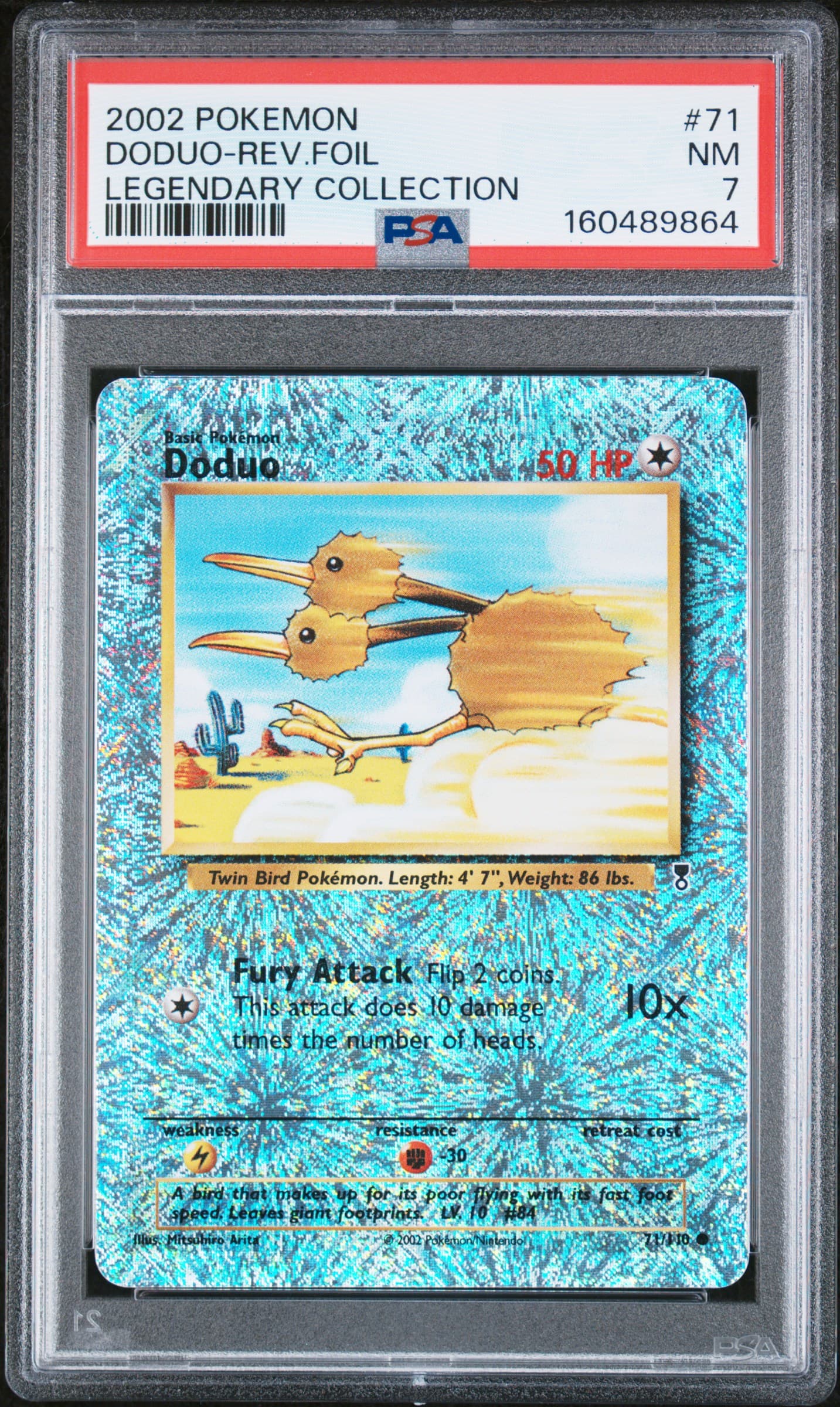 Doduo-Reverse Foil