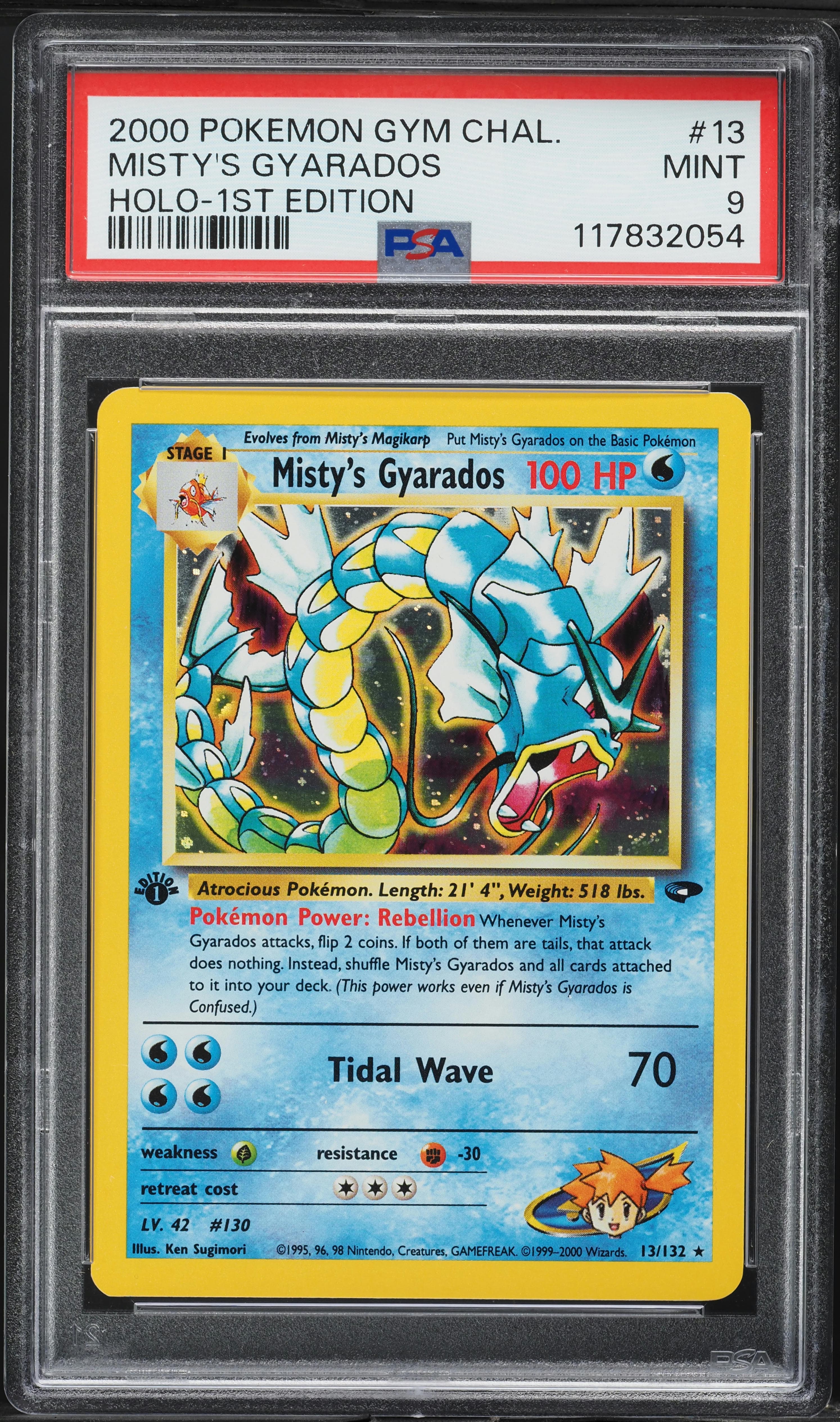 Misty's Gyarados
