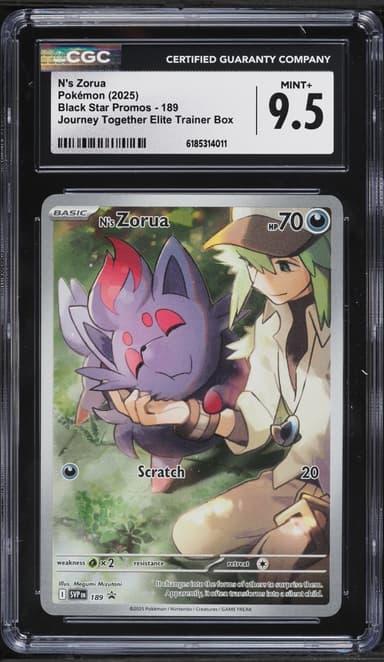 N's Zorua
