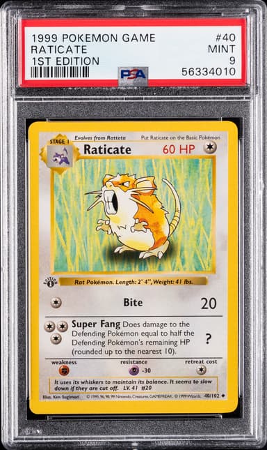 Raticate 1st Edition
