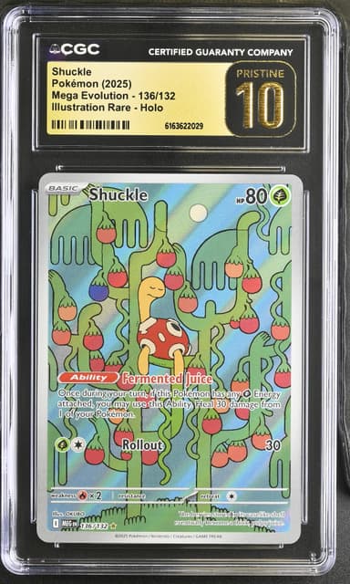 Shuckle