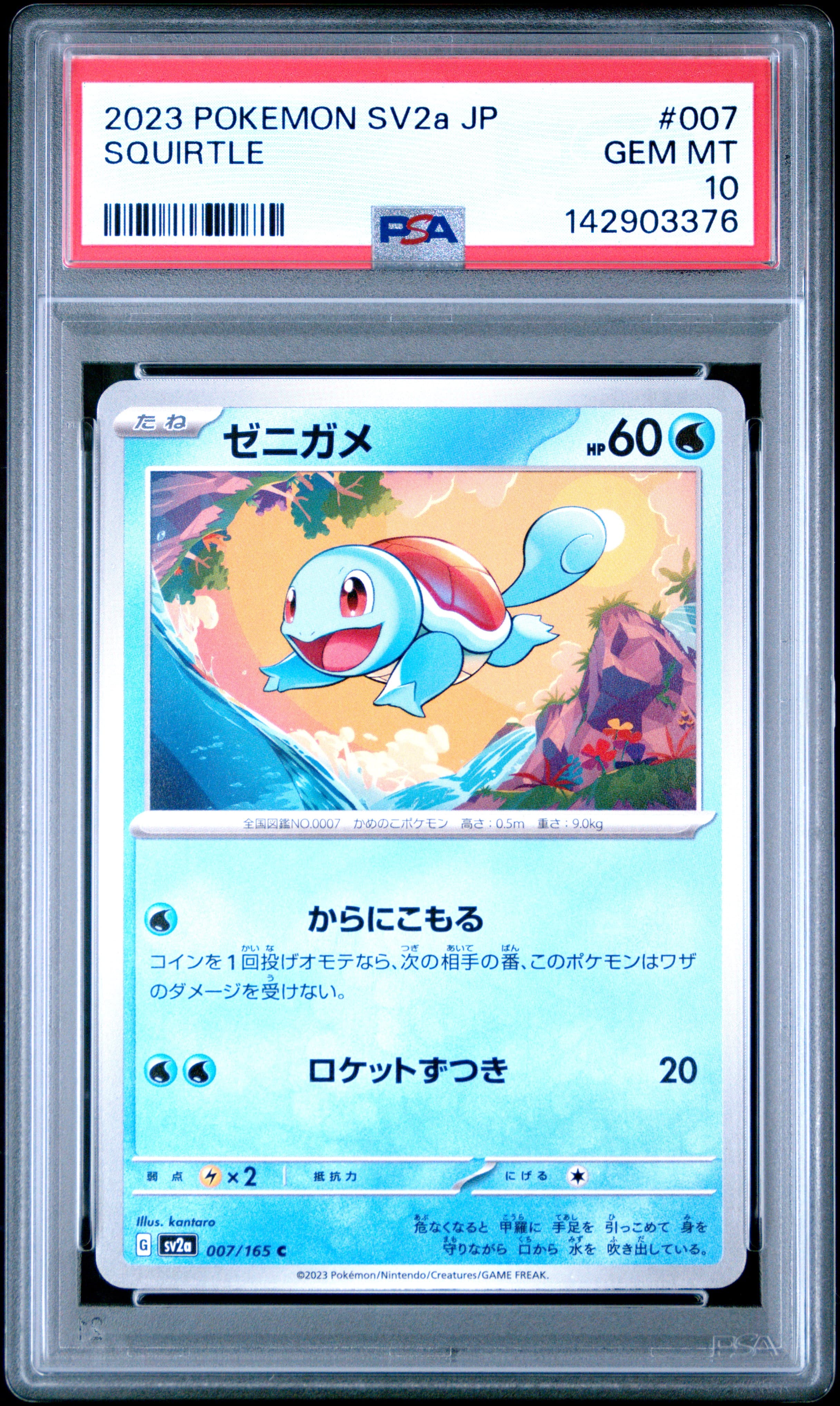 Squirtle