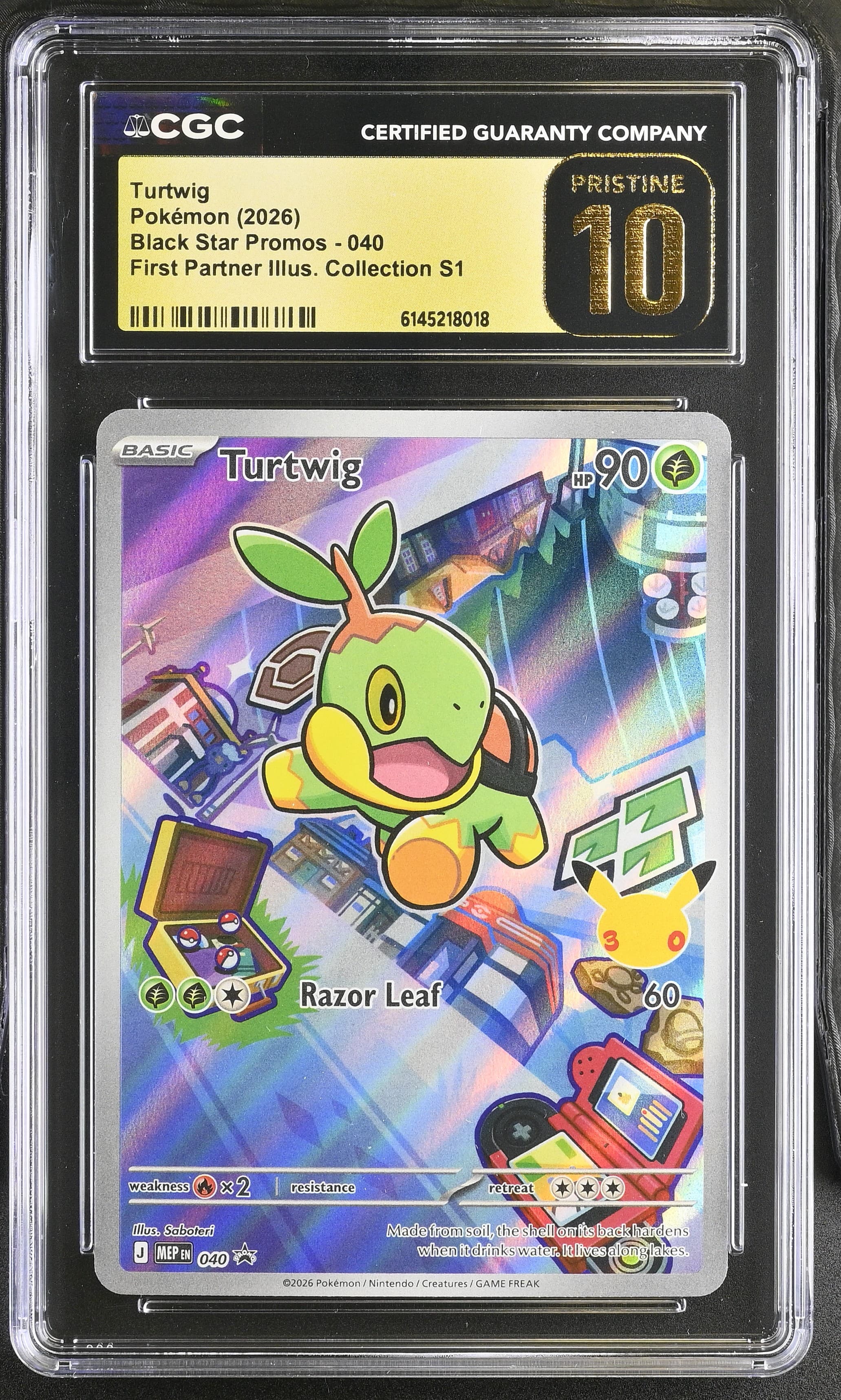Turtwig
