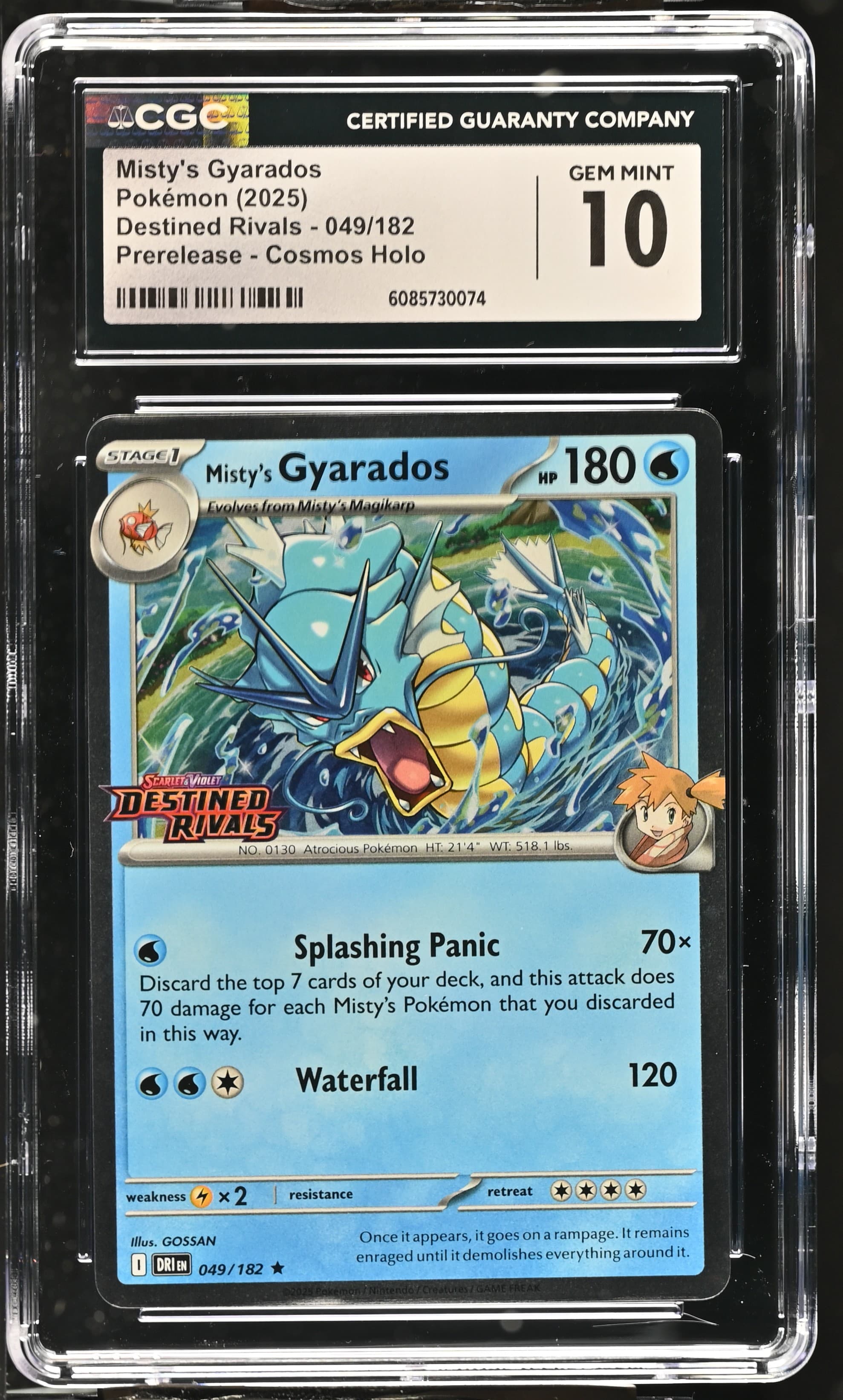 Misty's Gyarados