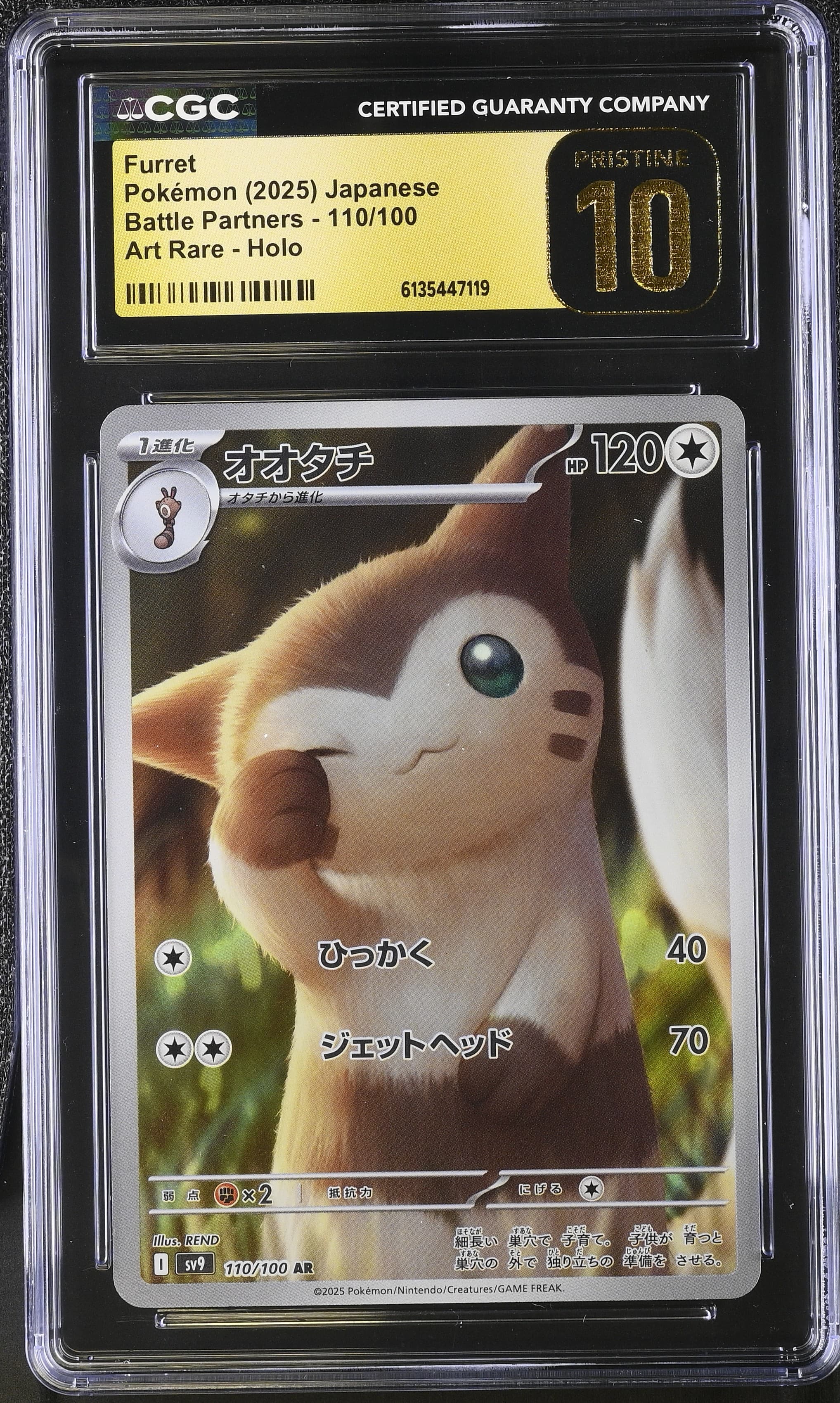 Furret