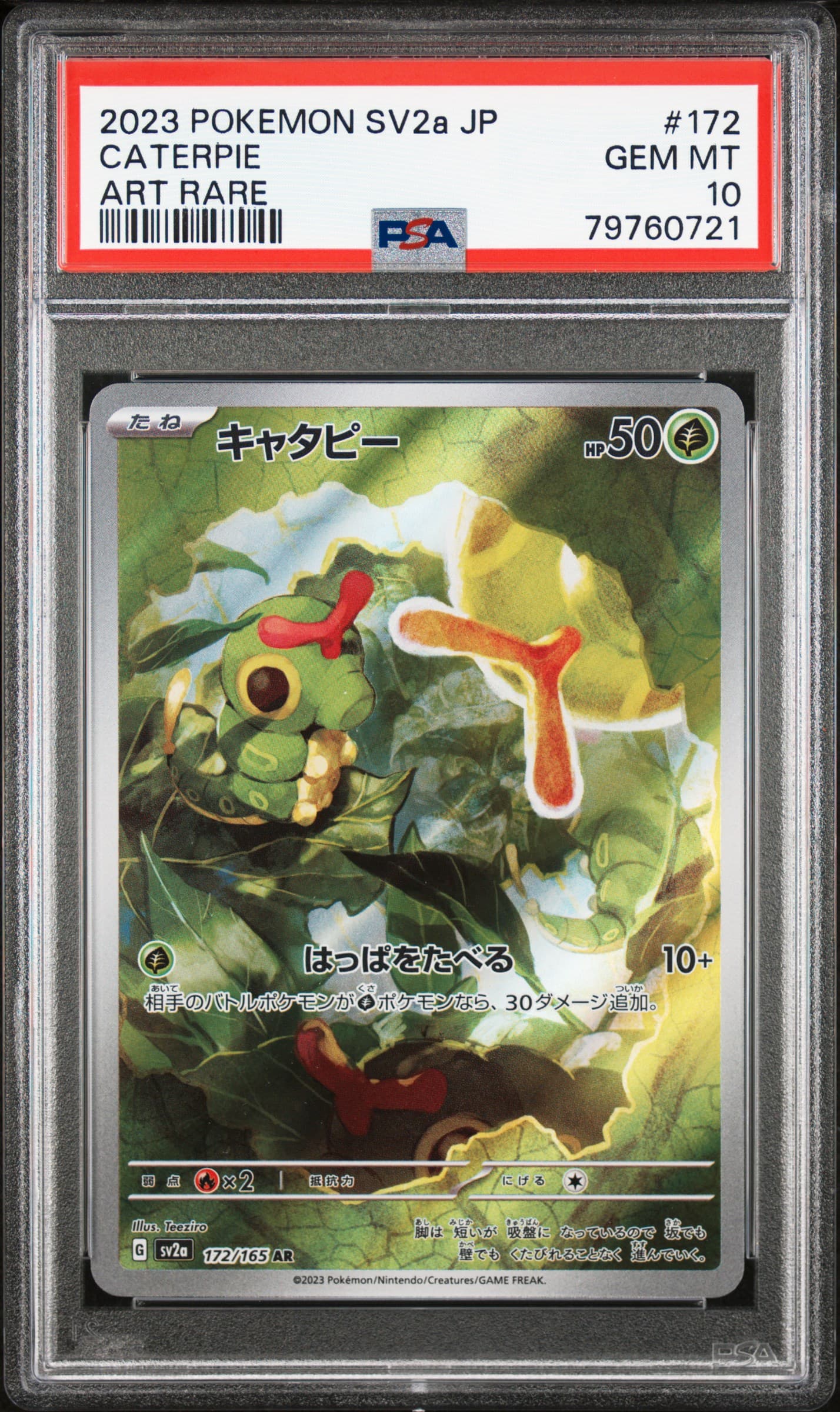 Caterpie