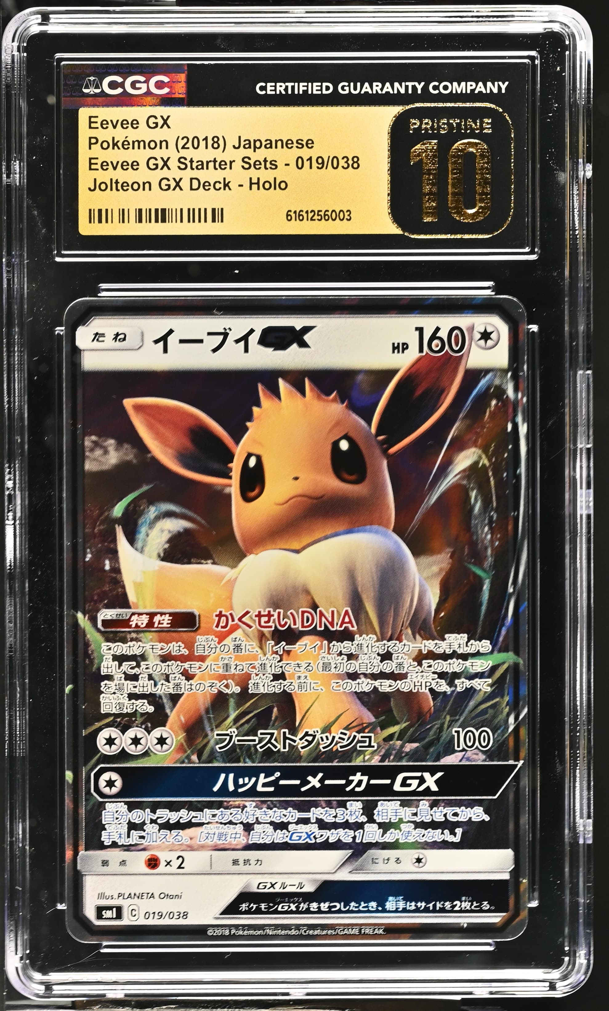 Eevee GX
