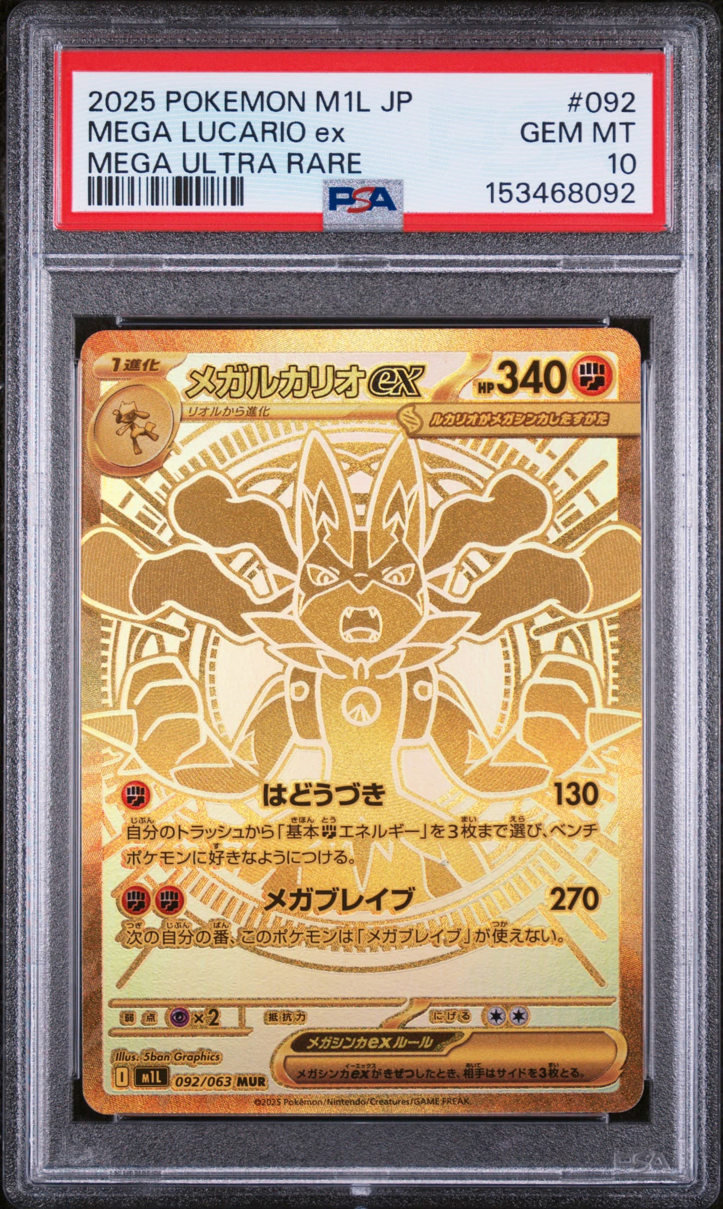 Mega Lucario EX