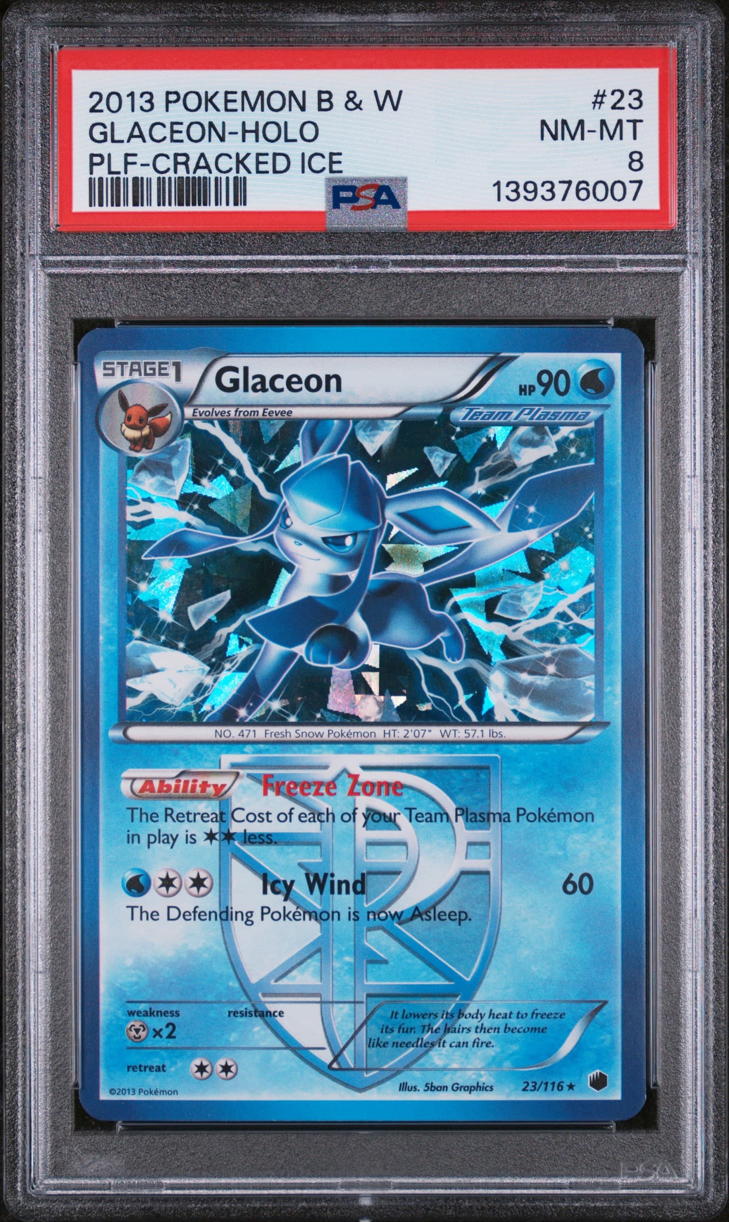 Glaceon-Holo