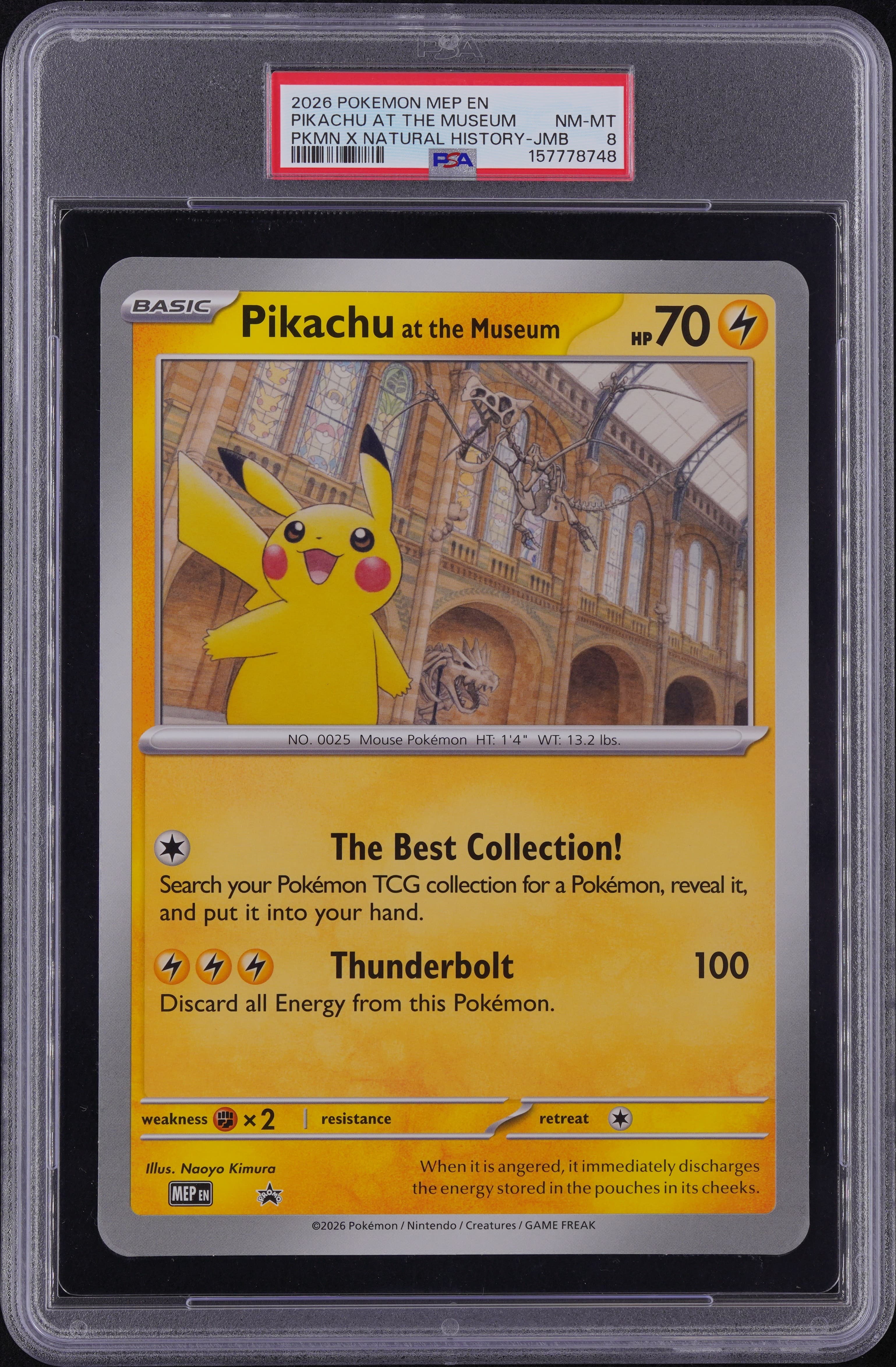 Pikachu at the Museum