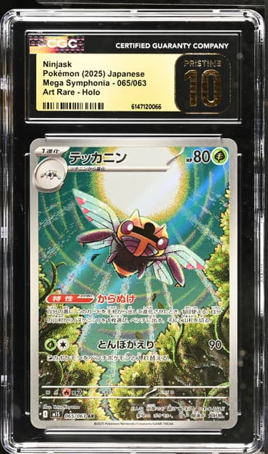Ninjask