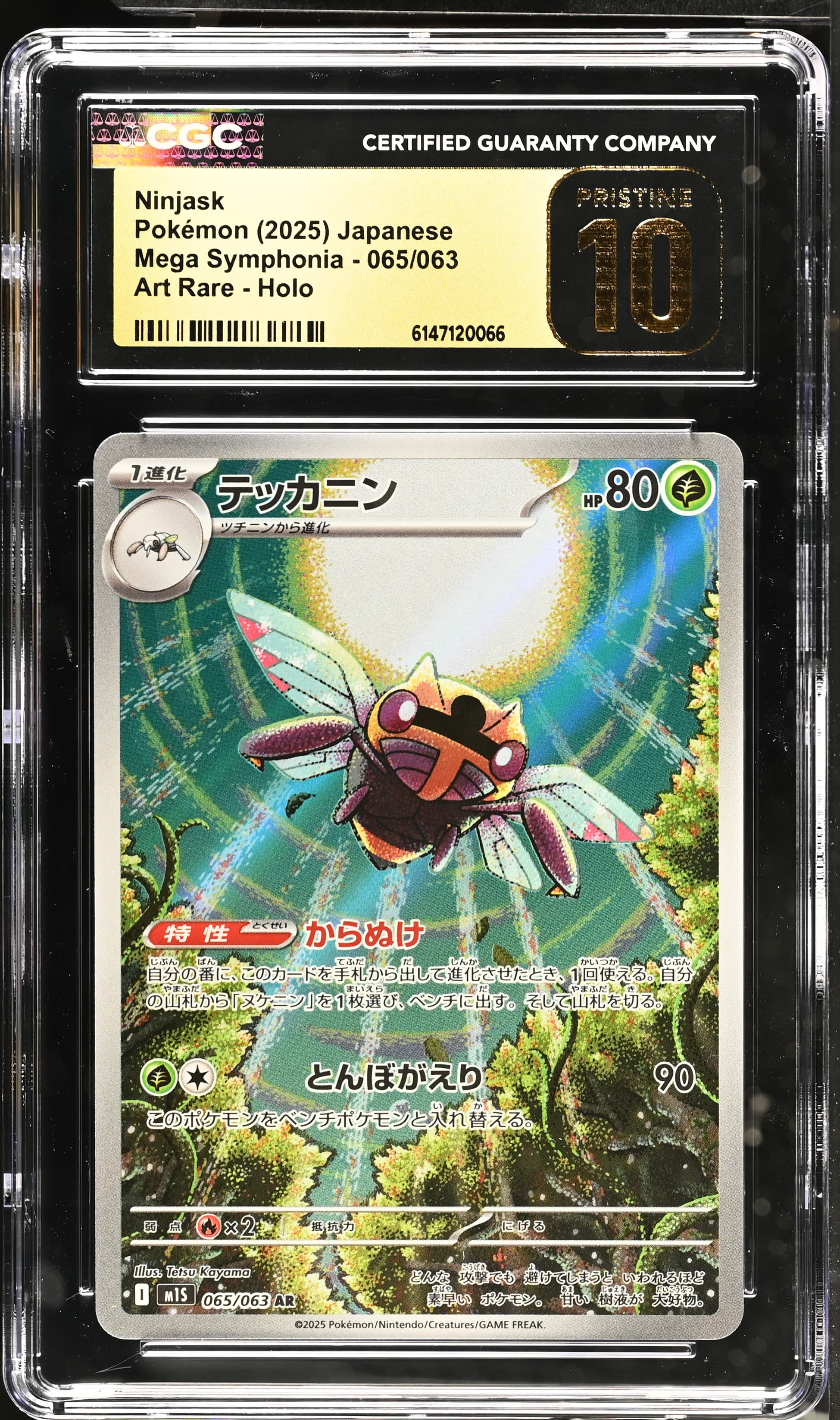 Ninjask