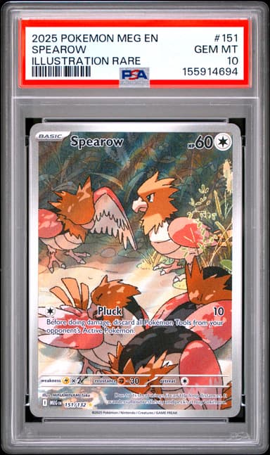 Spearow