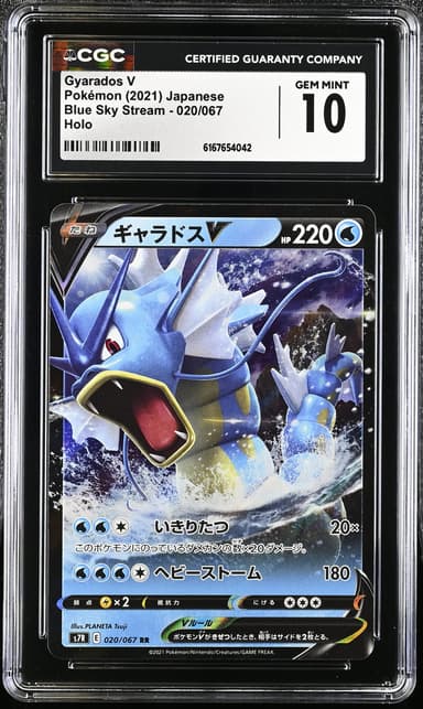 Gyarados V
