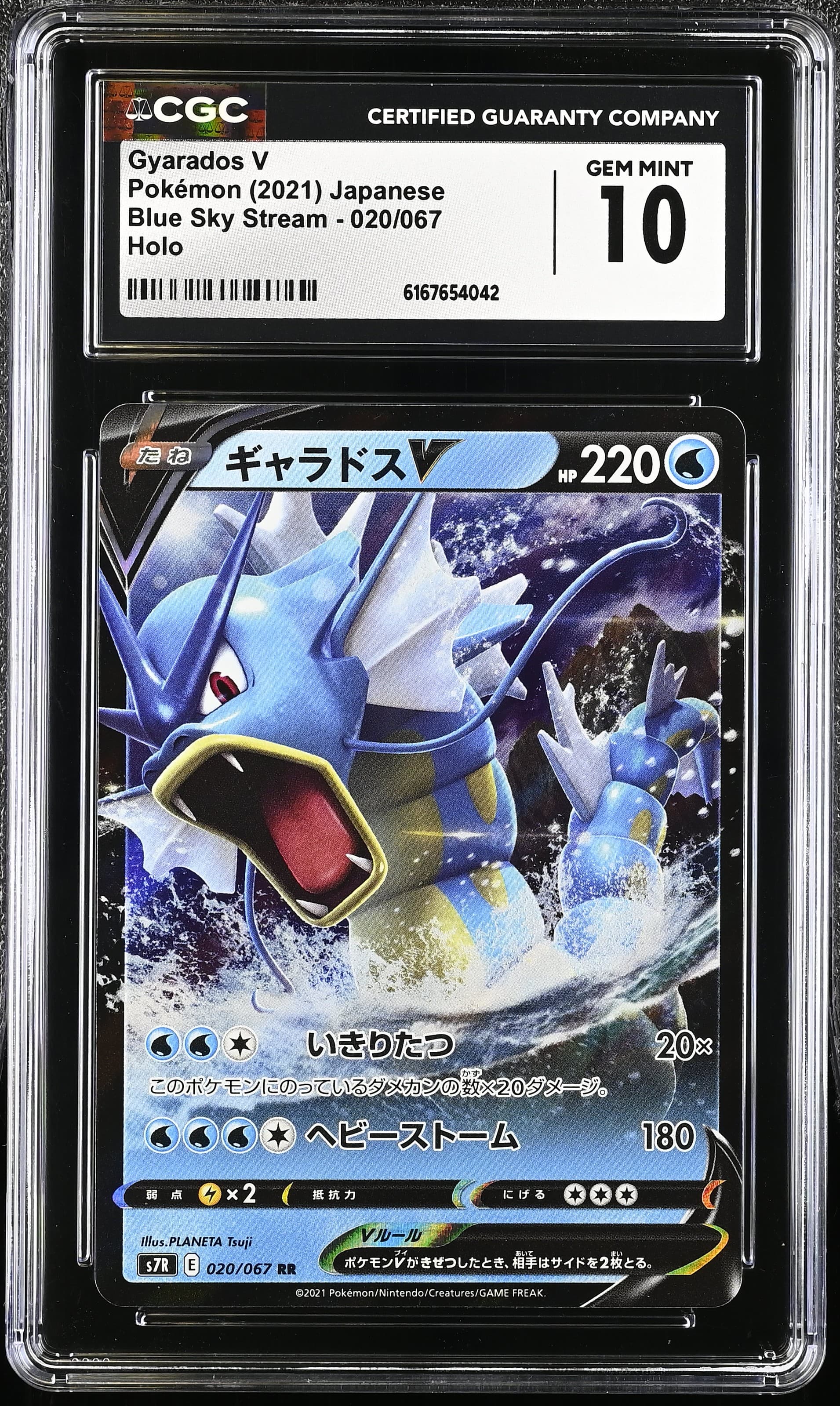 Gyarados V