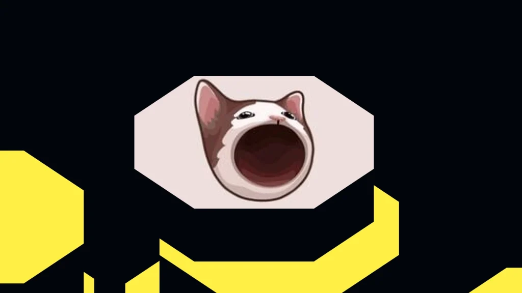 moneda POPCAT