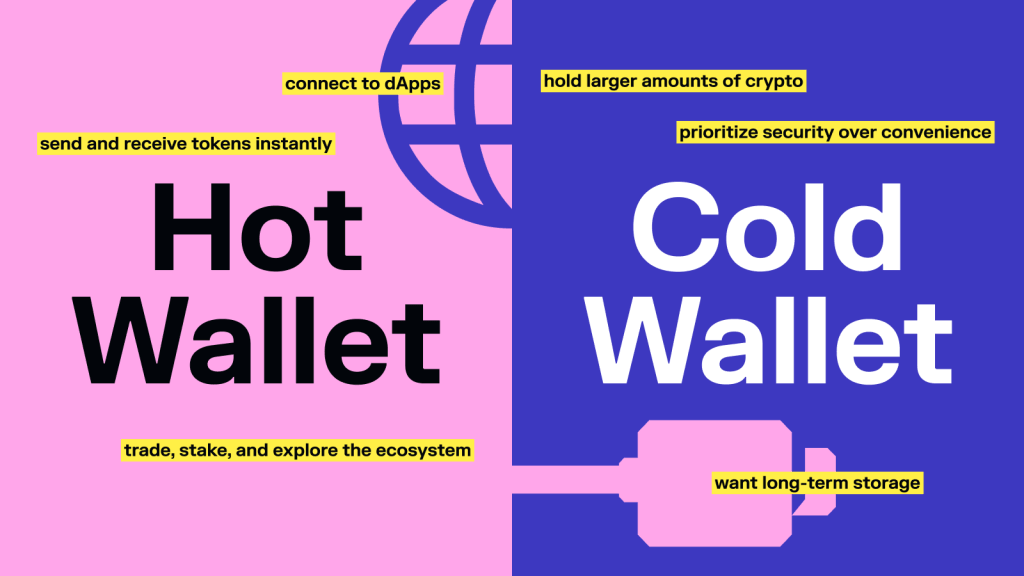 hot wallet y cold wallet comparadas