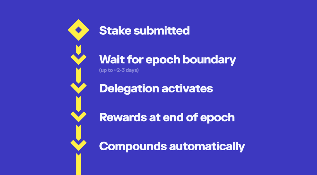 how epochs work in solana staking