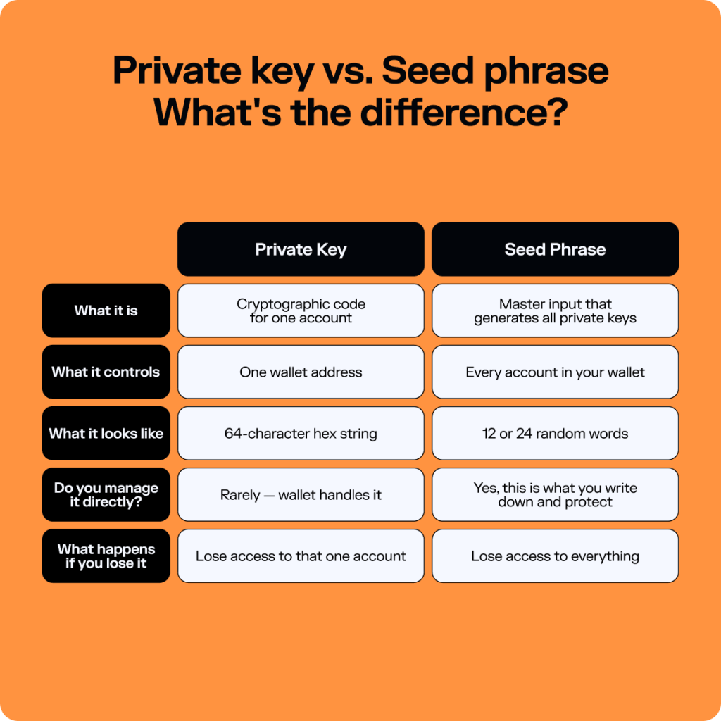 Seed Phrase vs Private Key: What's the Difference?