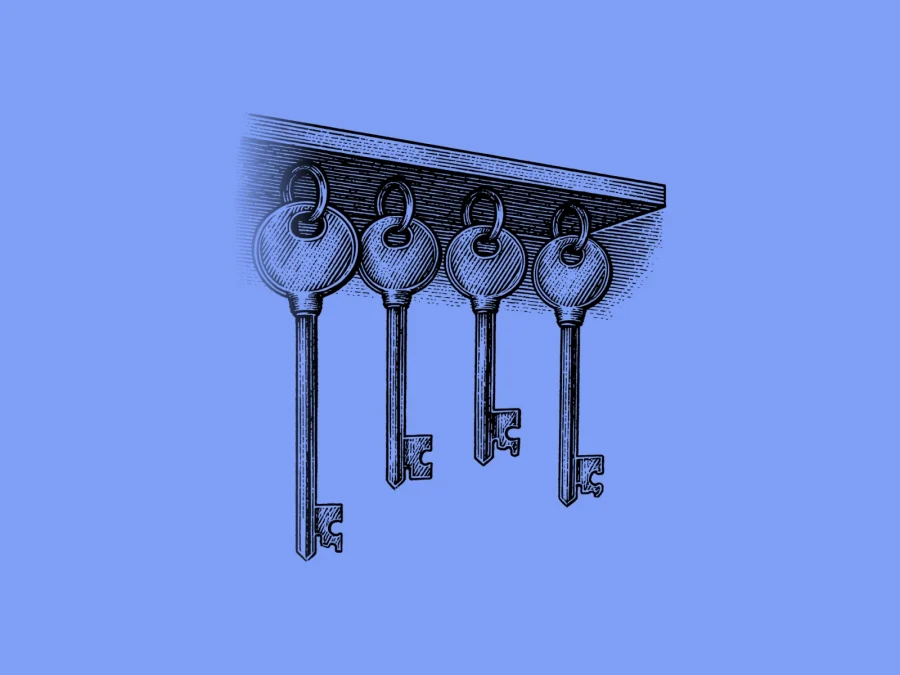 How to Back Up Your Solflare Wallet Safely