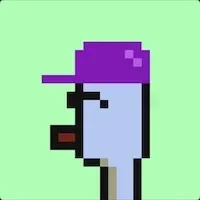 toly profile photo