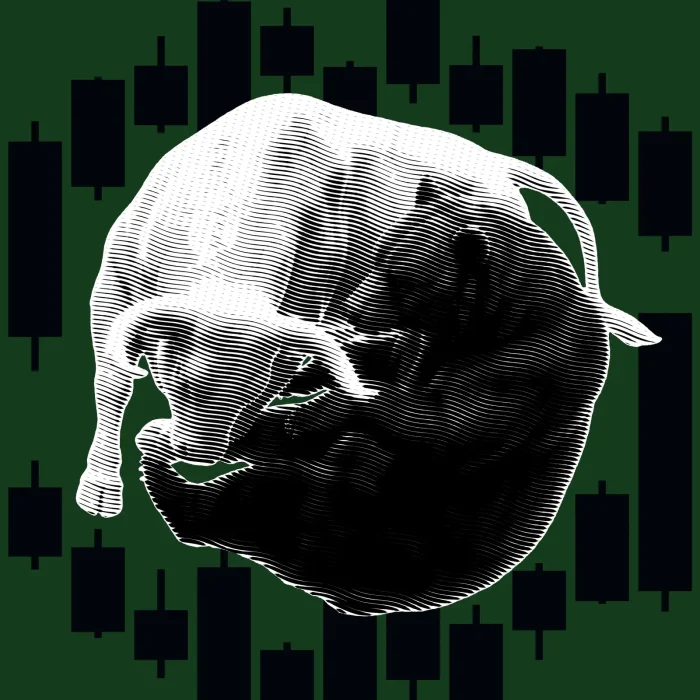 Bull Markets Make You Feel Smart. Bear Markets Make You Good.