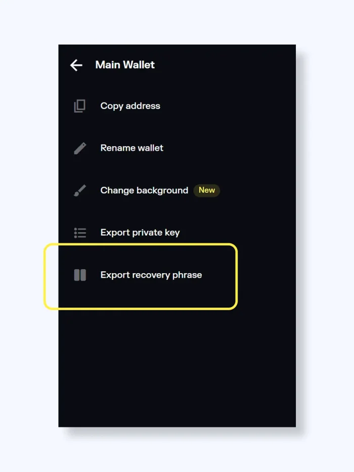 Solflare web extension screenshot recovery phrase export