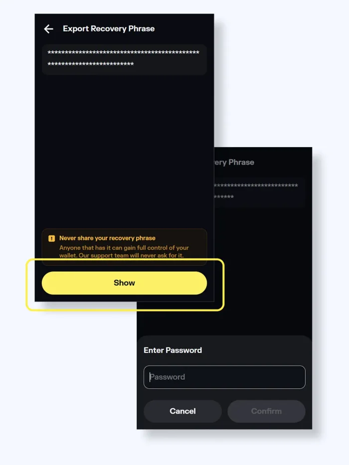 Solflare web extension screenshot password enter