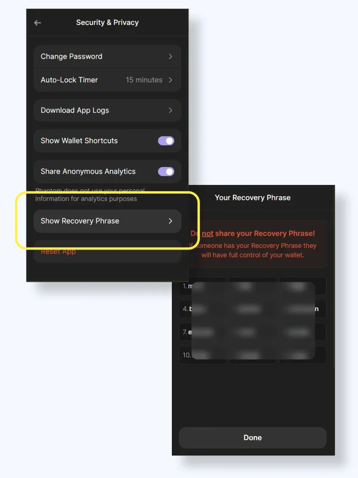 Solflare web extension and app screenshot - export recovery phrase