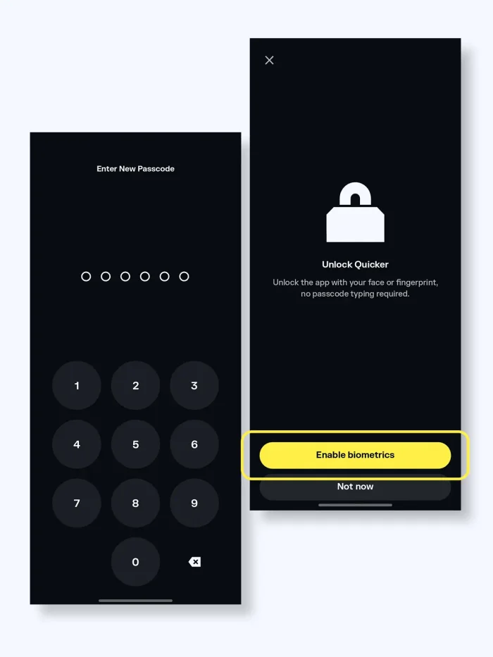 Solflare web extension or app screenshot enter password