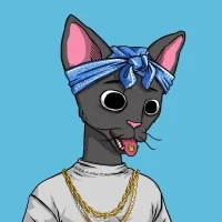 Christopher.Cet🤌 profile photo