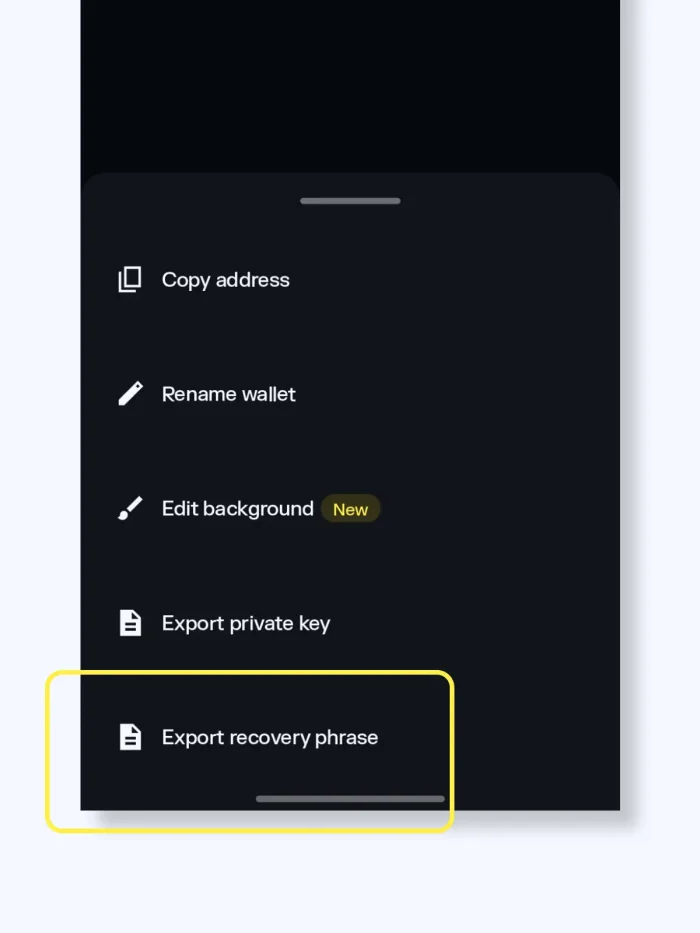 Solflare wallet app screenshot - recovery phrase export