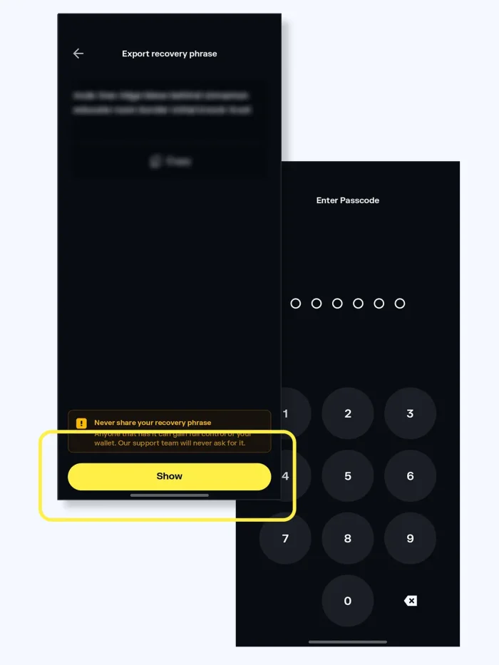 Solflare wallet app screenshot - security prompt
