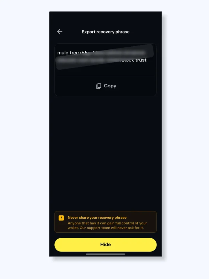 Solflare wallet app screenshot - recovery phrase export