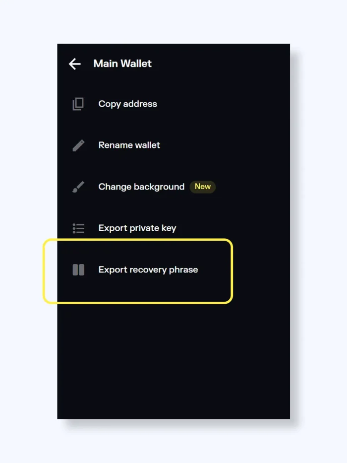 Solflare web extension screenshot recovery phrase export